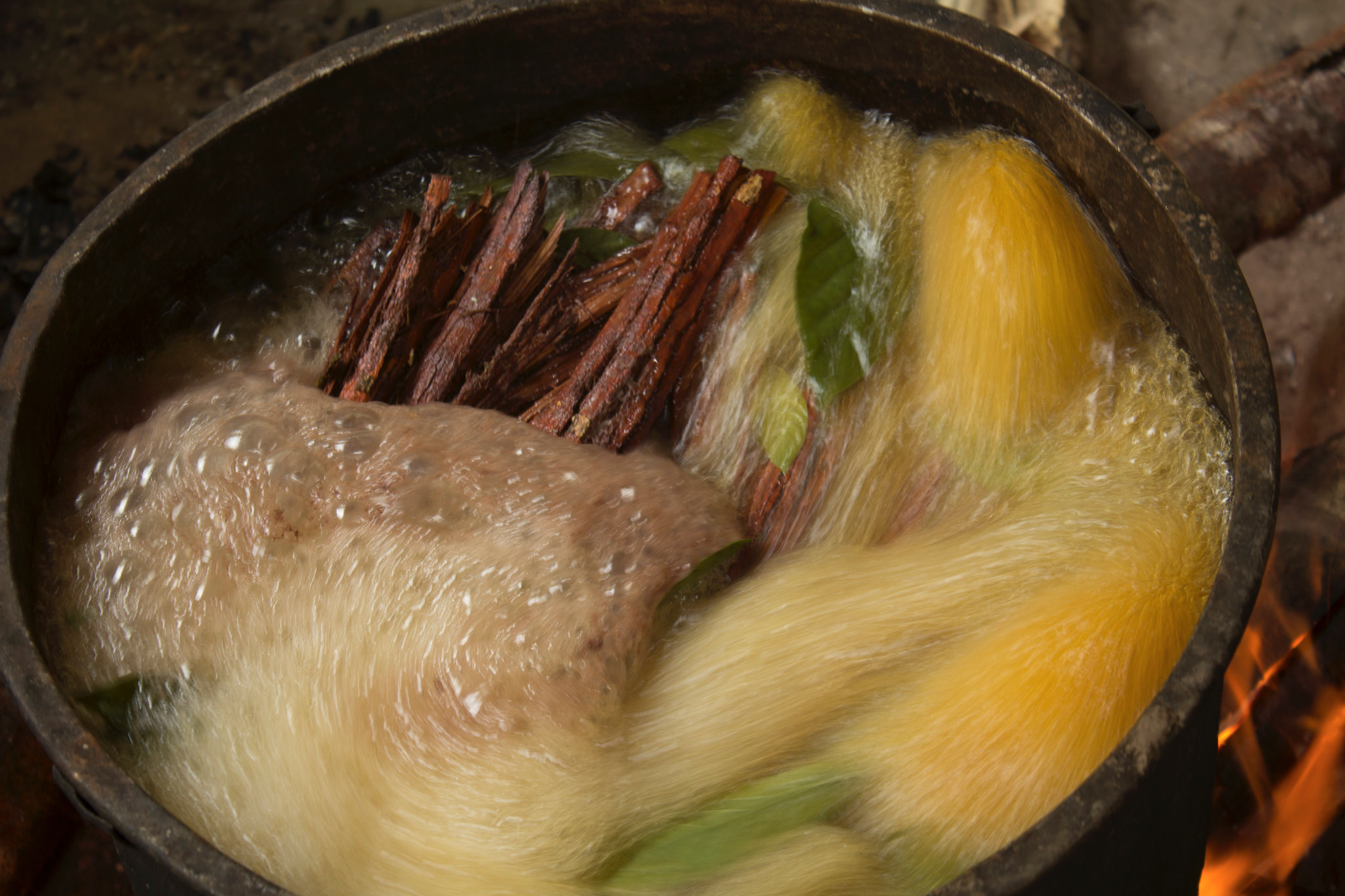 Ayahuasca preparation. Photo by Jairo Galvis Henao, via Flickr Creative Commons