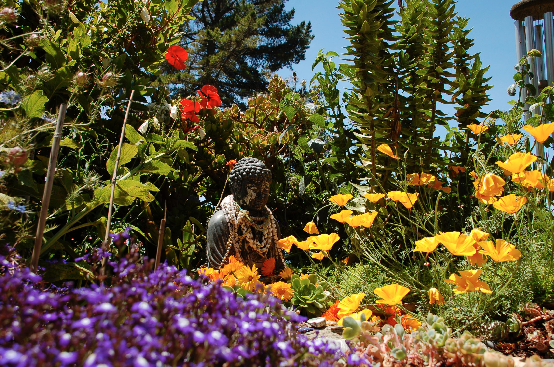 A garden at Esalen Retreat Center. Photo by Brad Coy, via Flickr Creative Commons